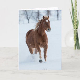 Carte Cheval seul courant dans la neige