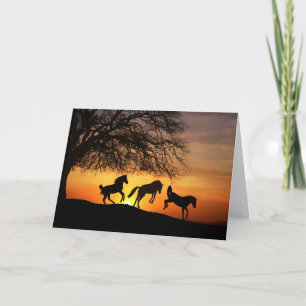 Carte Cheval Silhouette Anniversaire Amusant