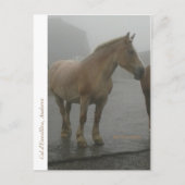 Carte cheval sous la pluie (Devant)