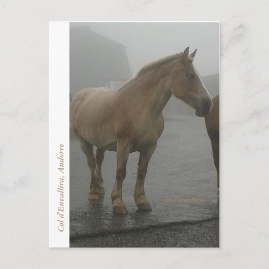 Carte cheval sous la pluie (Devant)