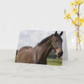 Carte Cheval Thoroughbred (Fleur jaune)