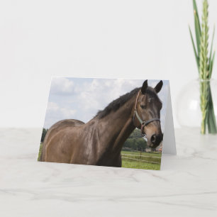 Carte Cheval Thoroughbred