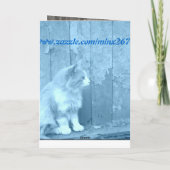 Carte Cheval Up Blue Kitty (Dos)