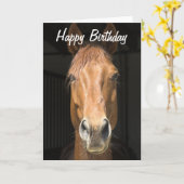 Carte Cheval Visage photo Joyeux anniversaire (Fleur jaune)