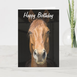 Carte Cheval Visage photo Joyeux Anniversaire