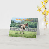 CARTE CHEVAUX (Fleur jaune)