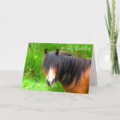 CARTE CHEVAUX (Devant)