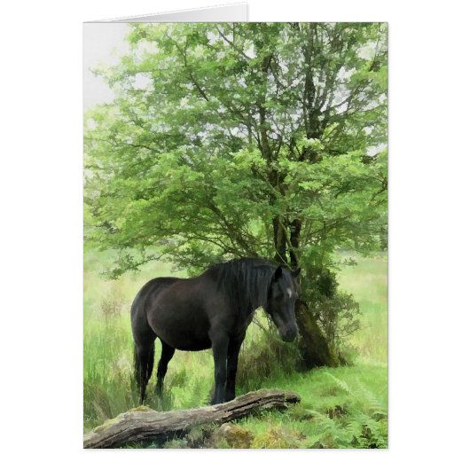 CARTE CHEVAUX (Devant)