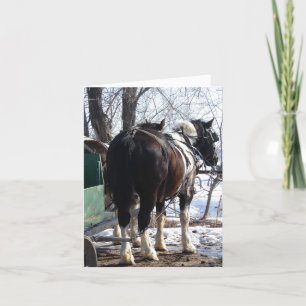 Carte Chevaux à bascule Pinto