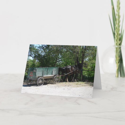 Carte Chevaux Amish (Devant)