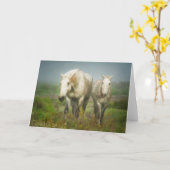 Carte Chevaux blancs de Camargue à Field (Fleur jaune)