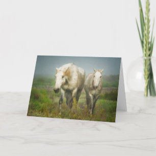 Carte Chevaux blancs de Camargue à Field