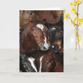 Carte Chevaux, chevaux, chevaux saluant le DAO (Fleur jaune)