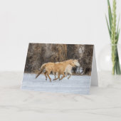 Carte Chevaux courant dans la neige (Devant)