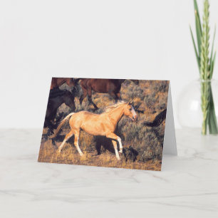 Carte Chevaux courant dans un ranch Ponderosa