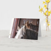 Carte Chevaux dans l'écurie, Anniversaire (Fleur jaune)