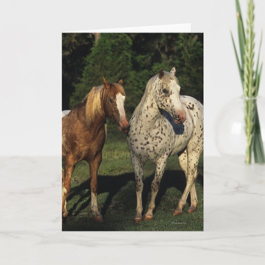 Carte Chevaux d'Appaloosa (Devant)