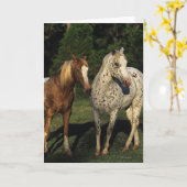 Carte Chevaux d'Appaloosa (Fleur jaune)