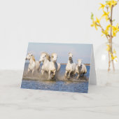 Carte Chevaux de Camargue (Fleur jaune)