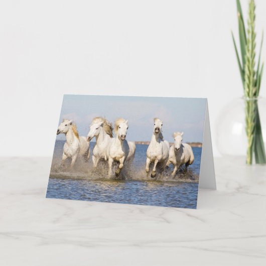 Carte Chevaux de Camargue (Devant)