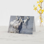 Carte Chevaux de Camargue fonctionnant sur le marécage (Fleur jaune)