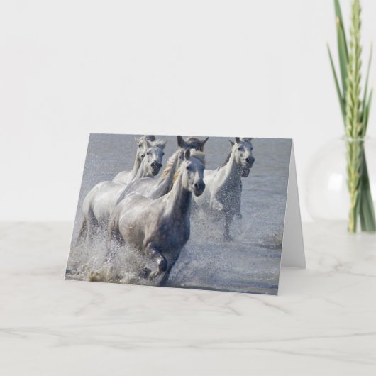 Carte Chevaux de Camargue fonctionnant sur le marécage (Devant)