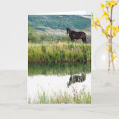 Carte Chevaux du Montana (Fleur jaune)
