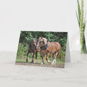 Carte Chevaux en harnais anniversaire