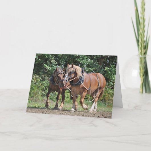 Carte Chevaux en harnais anniversaire (Devant)