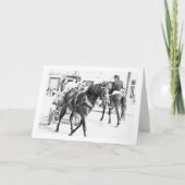 Carte Chevaux espagnols noir et blanc Portrait (Devant)