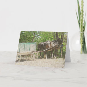 Carte Chevaux et chariot amish