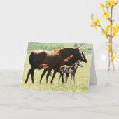 Carte Chevaux et image du poulain (Fleur jaune)