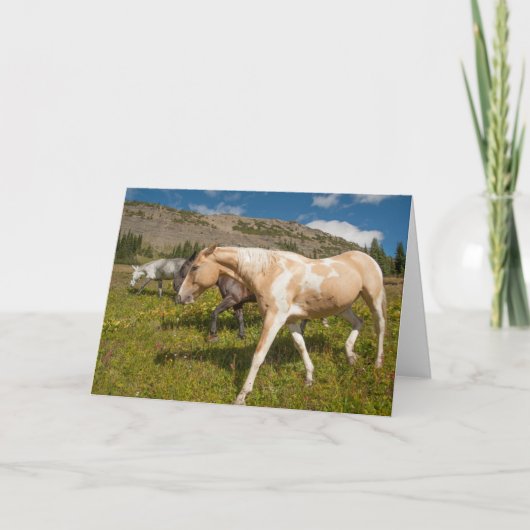 Carte Chevaux et mulets (Devant)
