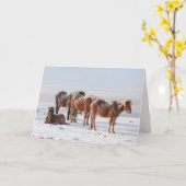 Carte Chevaux islandais couverts de neige (Fleur jaune)