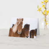 Carte Chevaux Islandais mignons ensemble (Fleur jaune)