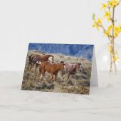 Carte Chevaux Parcourir les collines (Fleur jaune)