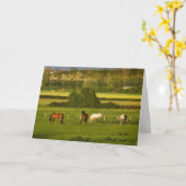 Carte Chevaux pâturant à Bower Hinton, Get Well Bientôt (Fleur jaune)