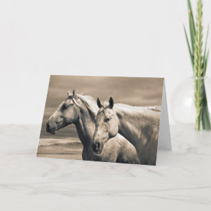 Carte Chevaux Quarter Horse dans la Prairie canadienne