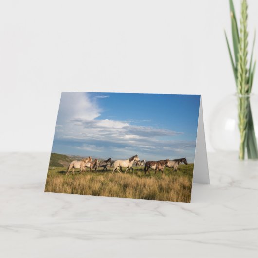 Carte Chevaux sauvages dans le parc national Theodore Ro (Devant)