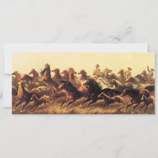 Carte Chevaux sauvages de course par James Walker (Devant)