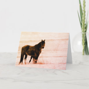 CARTE CHEVAUX SAUVAGES DE HERD D'UTAH ONAQUI