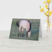 CARTE CHEVAUX SAUVAGES D'UTAH OURAY (Fleur jaune)