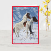 CARTE CHEVAUX SAUVAGES D'UTAH PINTO GREETING CARD (Fleur jaune)