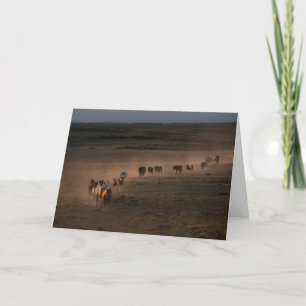 Carte Chevaux Sauvages Marchant Vers Le Désert