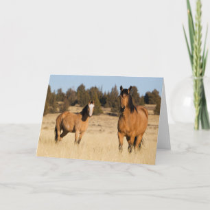 Carte Chevaux sauvages, montagnes de Steens