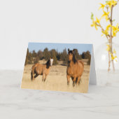 Carte Chevaux sauvages, Montagnes des Steens (Fleur jaune)