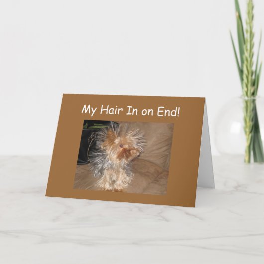 Carte CHEVEUX DE CHIEN "40e" ANNIVERSAIRE (Devant)