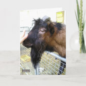 Carte Chèvre conviviale (Devant)