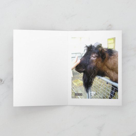 Carte Chèvre conviviale (Intérieur)