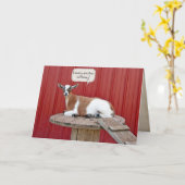 Carte Chèvre d'anniversaire sur la table de billard (Fleur jaune)